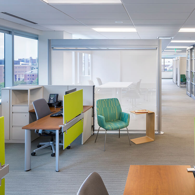 <h3><strong>Образование</strong></h3> 