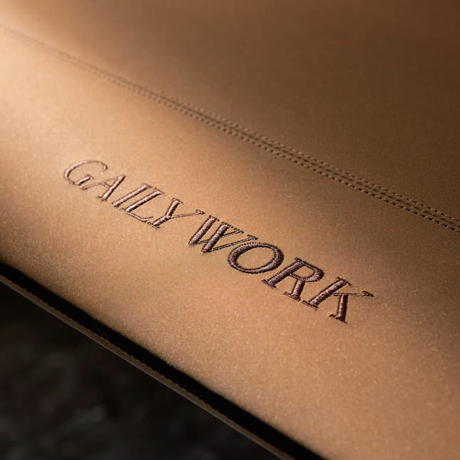 Индивидуальный логотип для офисного стола Pagani